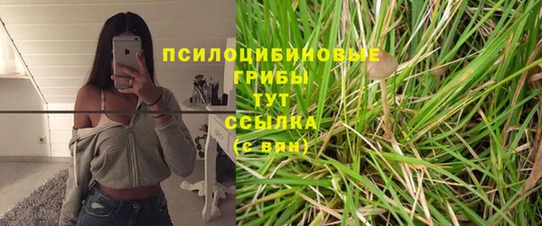 spice Магас